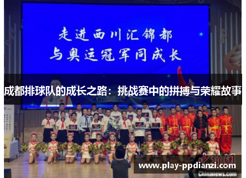 成都排球队的成长之路：挑战赛中的拼搏与荣耀故事